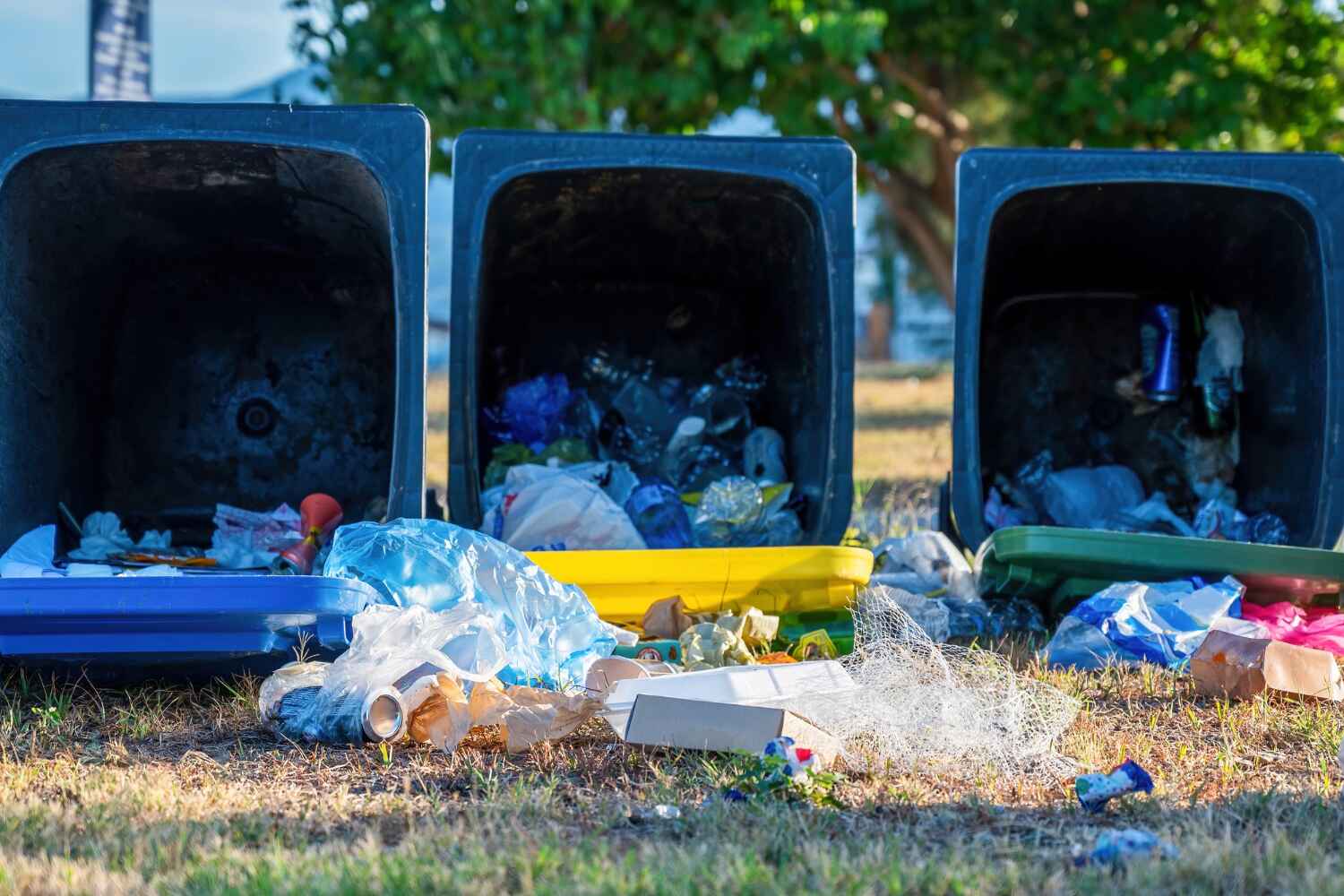 Household Junk Removal in Picnic Point, WA
